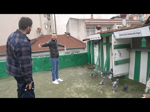 KUŞÇU SERCAN TOPÇU