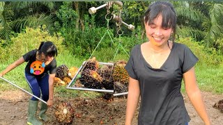 Download lagu Terlalu bar bar !! GADIS DESA CANTIK || NIMBANG SAWIT mp3 Download lagu Terlalu bar bar !! GADIS DESA CANTIK || NIMBANG SAWIT mp3