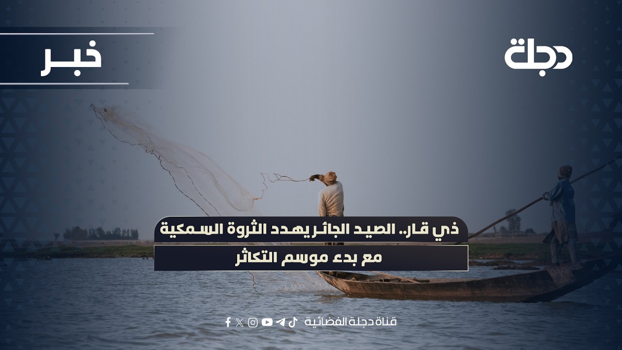 فيديو | ذي قار.. الصيد الجائر يهدد الثروة السمكية مع بدء موسم التكاثر