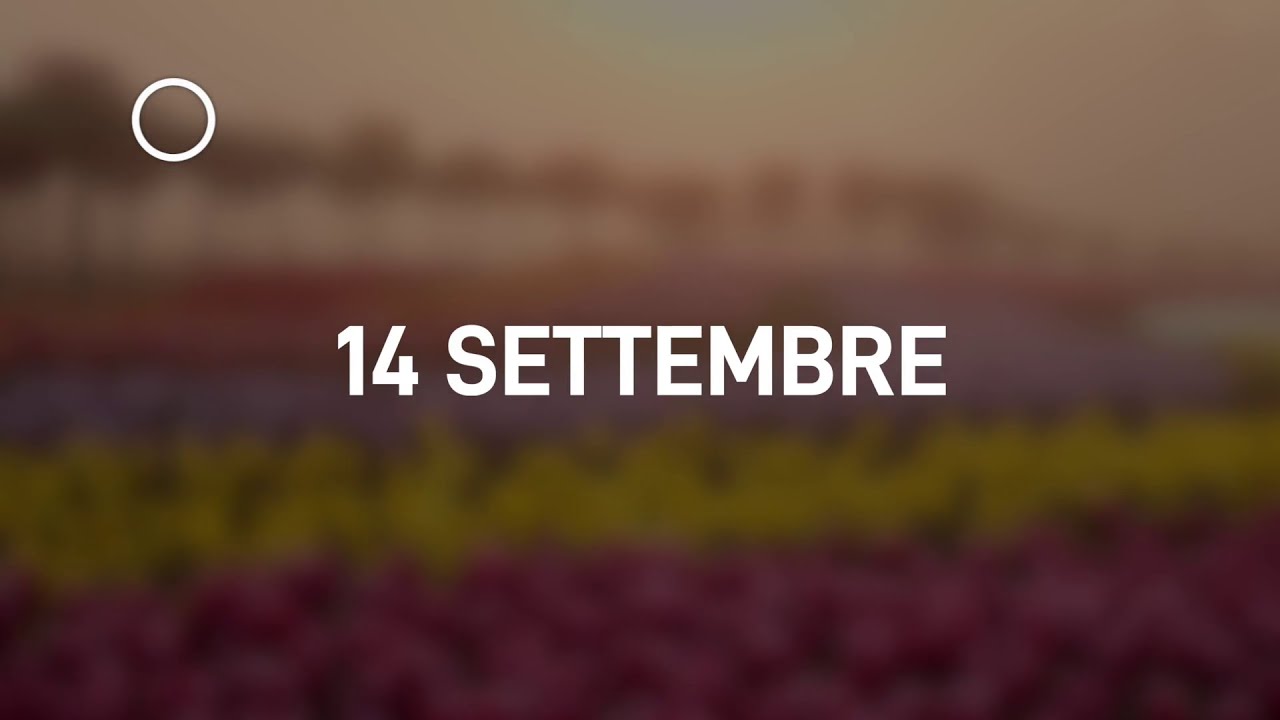14 Settembre 2024 | Meditazione Parole di Vita