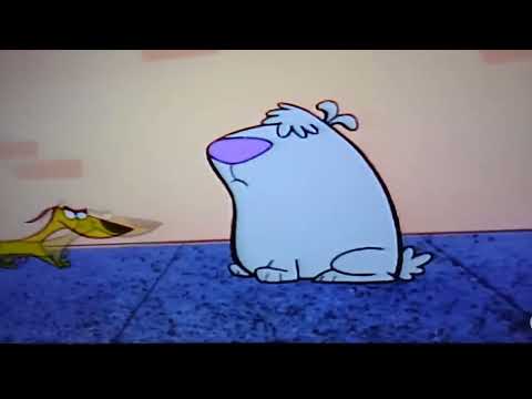 2 Perros tontos Intro F10 HD bolivia música 🎵🎼 canciones letra