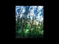 This Mortal Coil - The Lacemaker II / Morning Glory / Another Day / Nature's Way