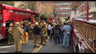 Freezer Leak at UCLA Neuroscience Research Building Prompts Large LAFD Response; 1/20/19