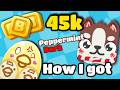 I GOT PEPPERMINT BARK IN OVER 40K TOKENS!!!! | Blooket Blizzard Pack Unboxing