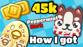 I GOT PEPPERMINT BARK IN OVER 40K TOKENS!!!! | Blooket Blizzard Pack Unboxing