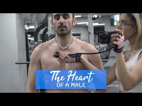 The Heart Sounds of a Male | Before, During & After Exercise | ASMR ❤️
