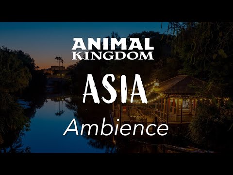 Animal Kingdom Asia Ambience | Disney World Animal Kingdom Yak & Yeti Ambience