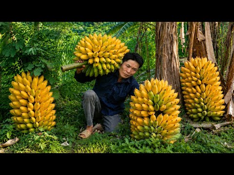 Huge Harvest Compilation… Bamboo Shoots, Bananas, Wild Fruits & Taro Sold at Market | Solo Survival