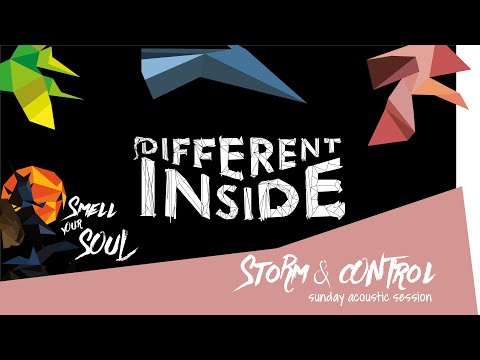 Different Inside - Storm & Control (acoustic - live)