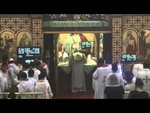 Sunday Liturgy - Fr. David Bebawy & Fr. Anthony Basily - 08/10/2014