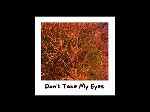 Martyna Baker - Don't Take My Eyes (Official Audio)