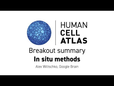 Hinxton 2018 - Breakout summary: In situ methods