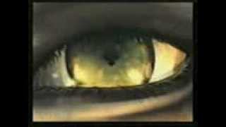 Download lagu Meraih Mimpi-Iwan Edan.3gp mp3