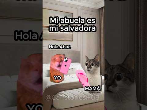Mi abuela es mi salvadora #gatitoslindos #funnyvideo #storytime #historiasdegatos