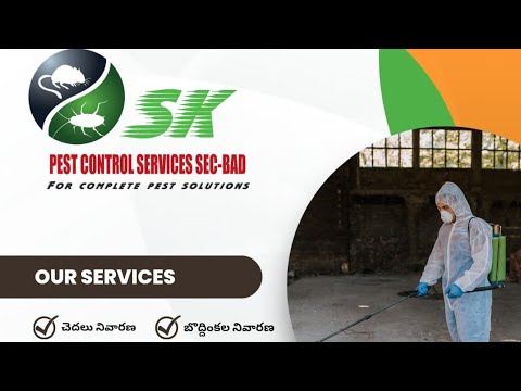 Home spray indoor pest control service, in local + 250km