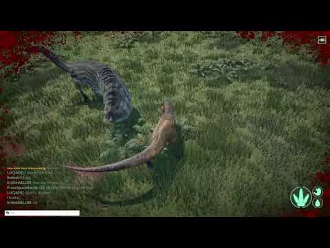 Allo how to solo and ride full Theri's and Giga's