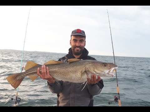 Team Somnium in actie