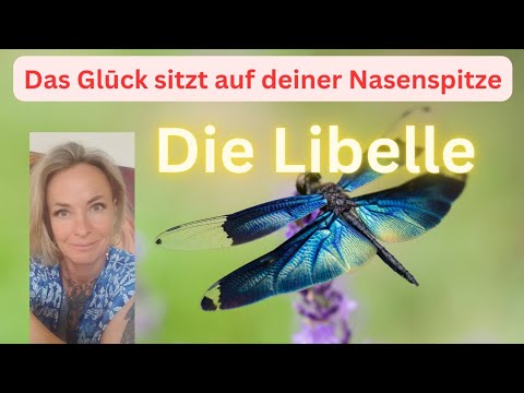 Erinnerung an dein #glück #botschaften #kollektiv #krafttier #libelle