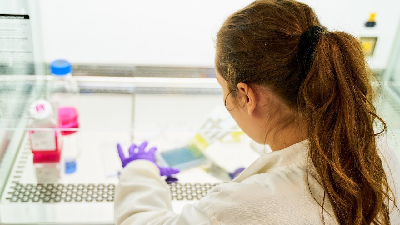 MSc Molecular Biosciences at Bath: Microbiology stream