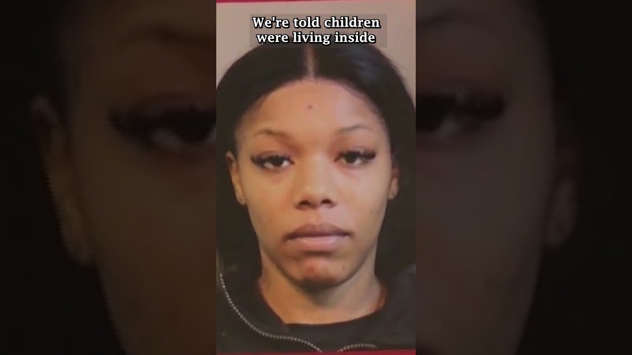 Gang takedown in Nassau County leads to 35 arrests