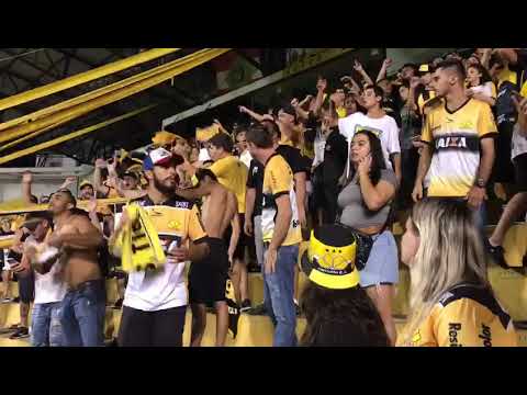 "Os Tigres na Copa do Brasil - Criciúma x Chapecoense" Barra: Os Tigres &bull; Club: Criciúma