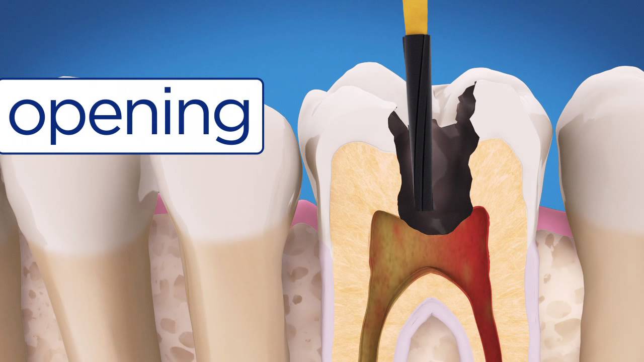 Mariela Fuentes Astudillo-4