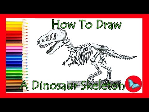 How To Draw A Dinosaur Skeleton |Coloring and Drawing for Kids