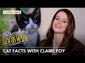 Cat Facts with Claire Foy | THE ELECTRICAL LIFE OF LOUIS WAIN