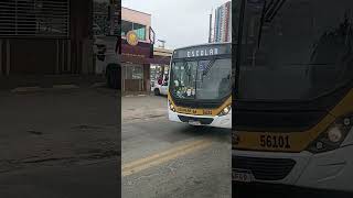 Ônibus Escolar 56101 Marcopolo Torino S MB OF 1721 Bluetec 5