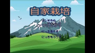 自家栽培初見プレイ1