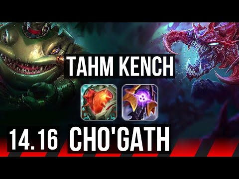 TAHM KENCH vs CHO'GATH (TOP) | 66% winrate, Dominating, 11/3/4 | EUW Master | 14.16
