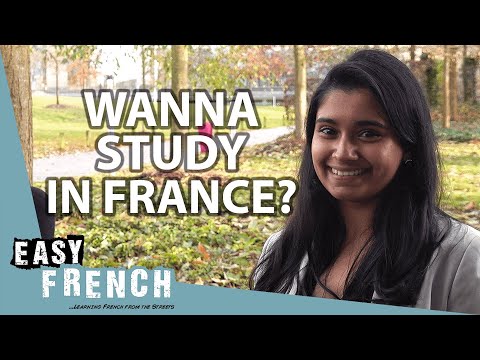 International Students in France: Their Experience in a Top-rated Business School | Easy French 146