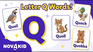English Words That Start With Q for Kids | Learn Alphabet Vocabulary | Novakid
