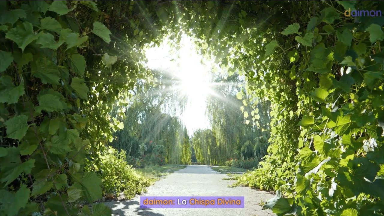daimon |La chispa divina