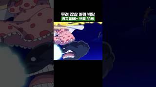 원피스) 무려 22살 어린 빅맘 참교육하는 브룩 90세