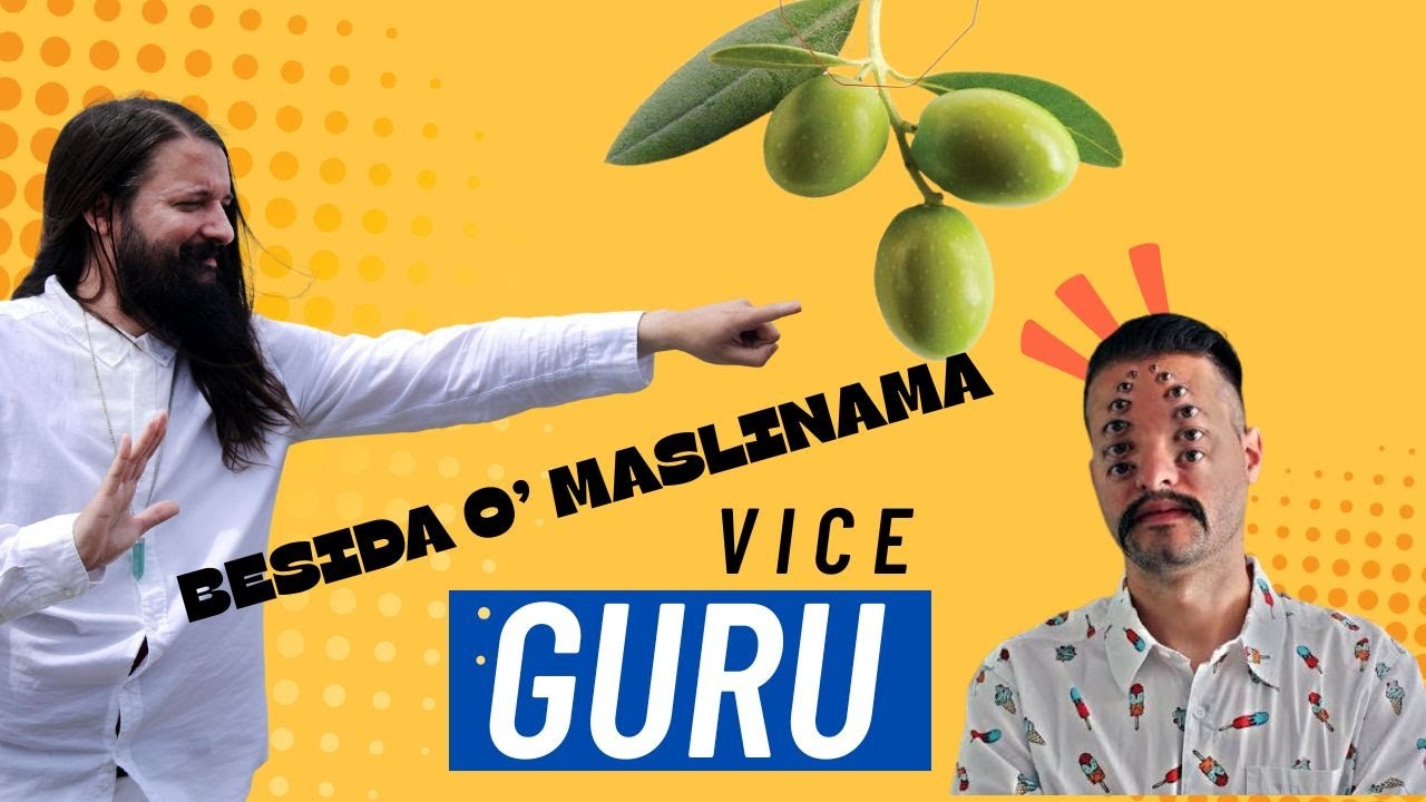 Vice Guru projekt