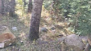 У 50% коммерческих компаний есть идея (миссия и визия)! А какая национальная идея у РФ