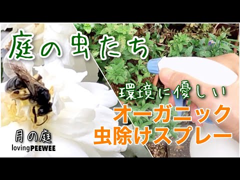 自然に木虫と戦う 庭の練習