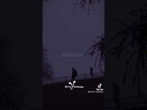 prometo no volverme  a enamorar 💫⚘