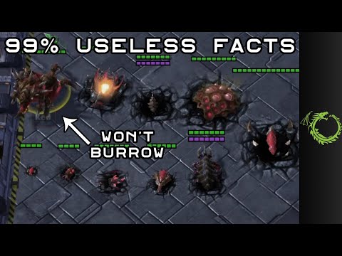 Inconsistent burrow behavior? Useless Facts #89