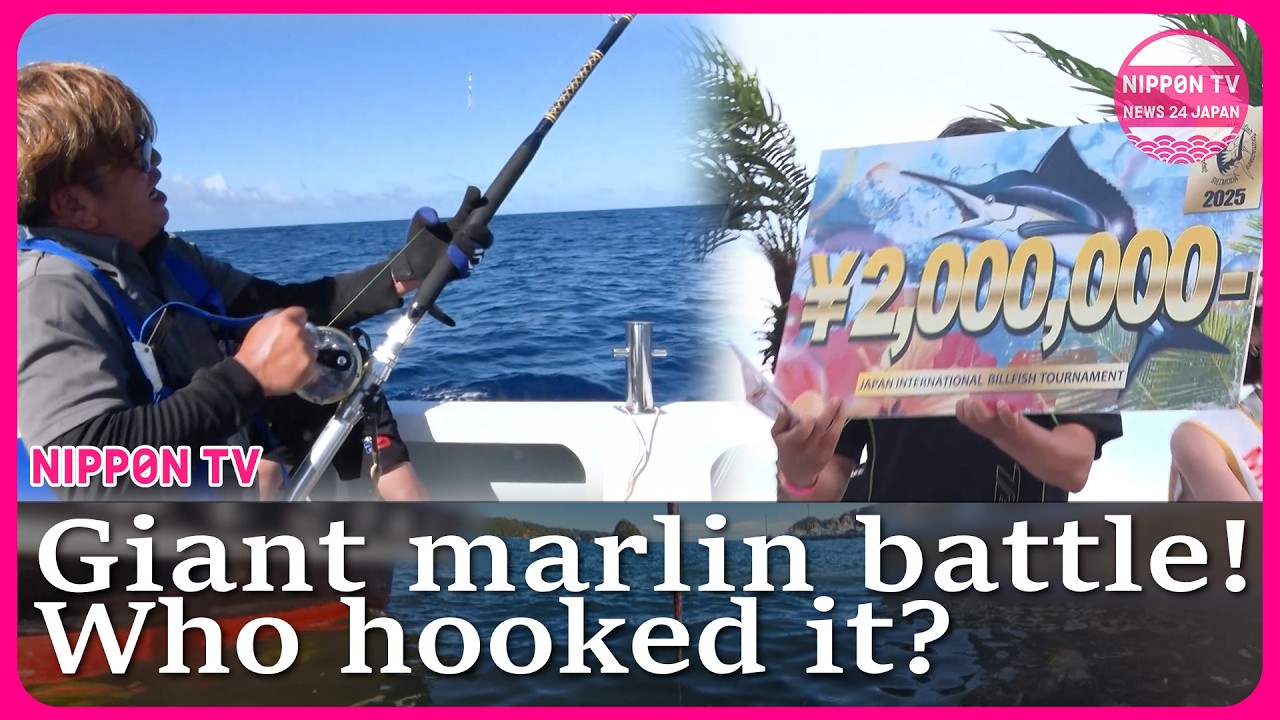 Battle for a giant marlin:Inside Japan’s massive 3-day fishing tournament
