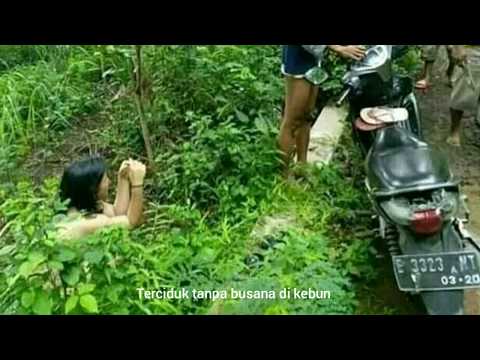Terciduk MesumTanpa busana di kebon daerah cirebon diketahui warga