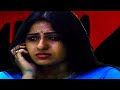 English Dubbed Full Movie The Web Horror Movies HD Thriller Movies