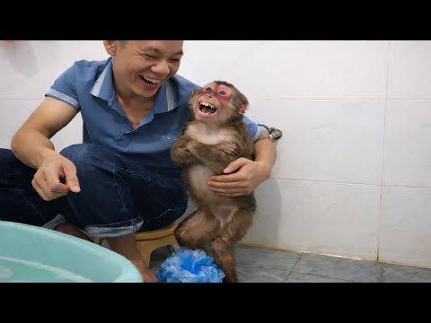 What is a typical day like for Kobi? Part 1