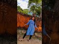 Bobbili Raja Songs Songstelugu