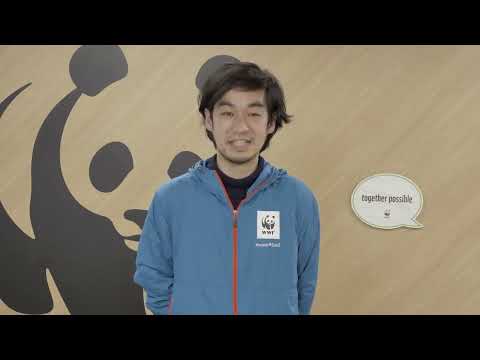 芝生や庭でカタバミと戦うにはどうすればよいですか？有機栽培についての誠実な答え!  庭園