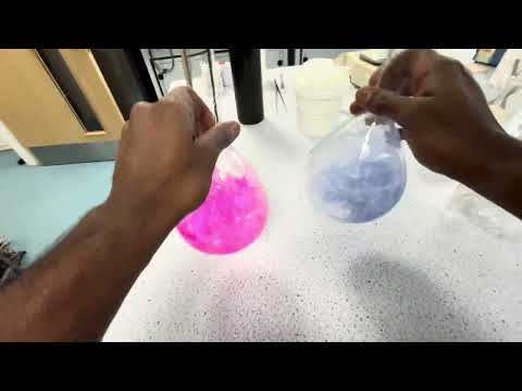 The Blue Bottle Demonstration 