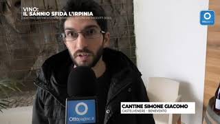 giacomo-simone-dall-informatica-al-vino