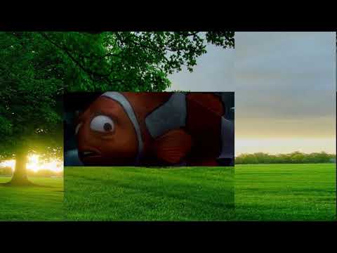 Finding Nemo: Part 9.