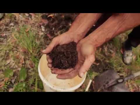 Náhled pro video reference